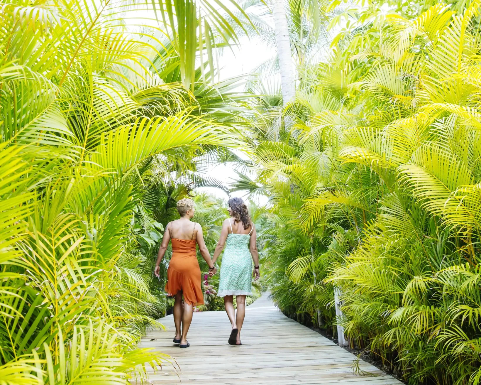 Women walking on a palm-lined path in Puerto Vallarta