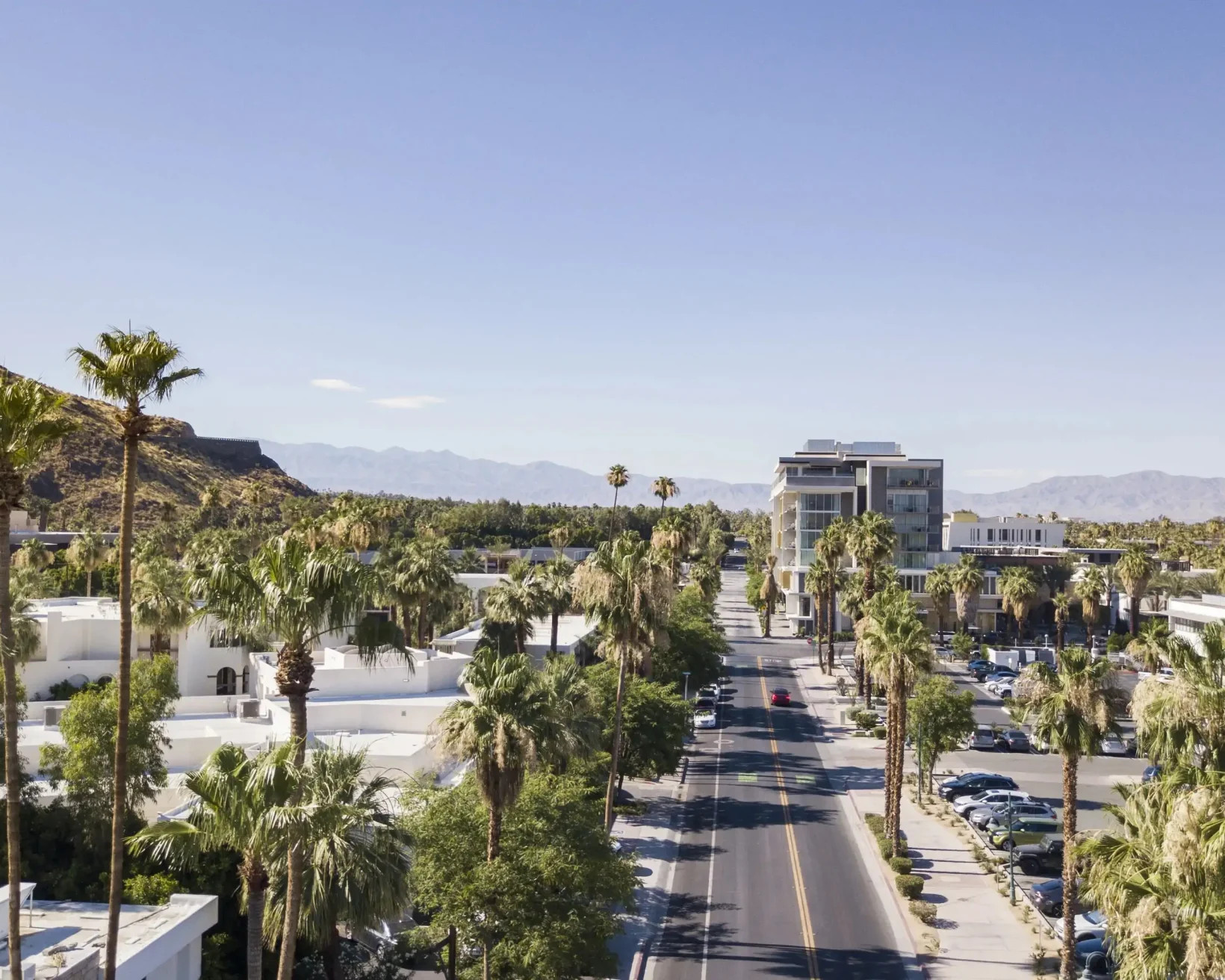 Palm Springs street with palm trees and mid-century modern houses