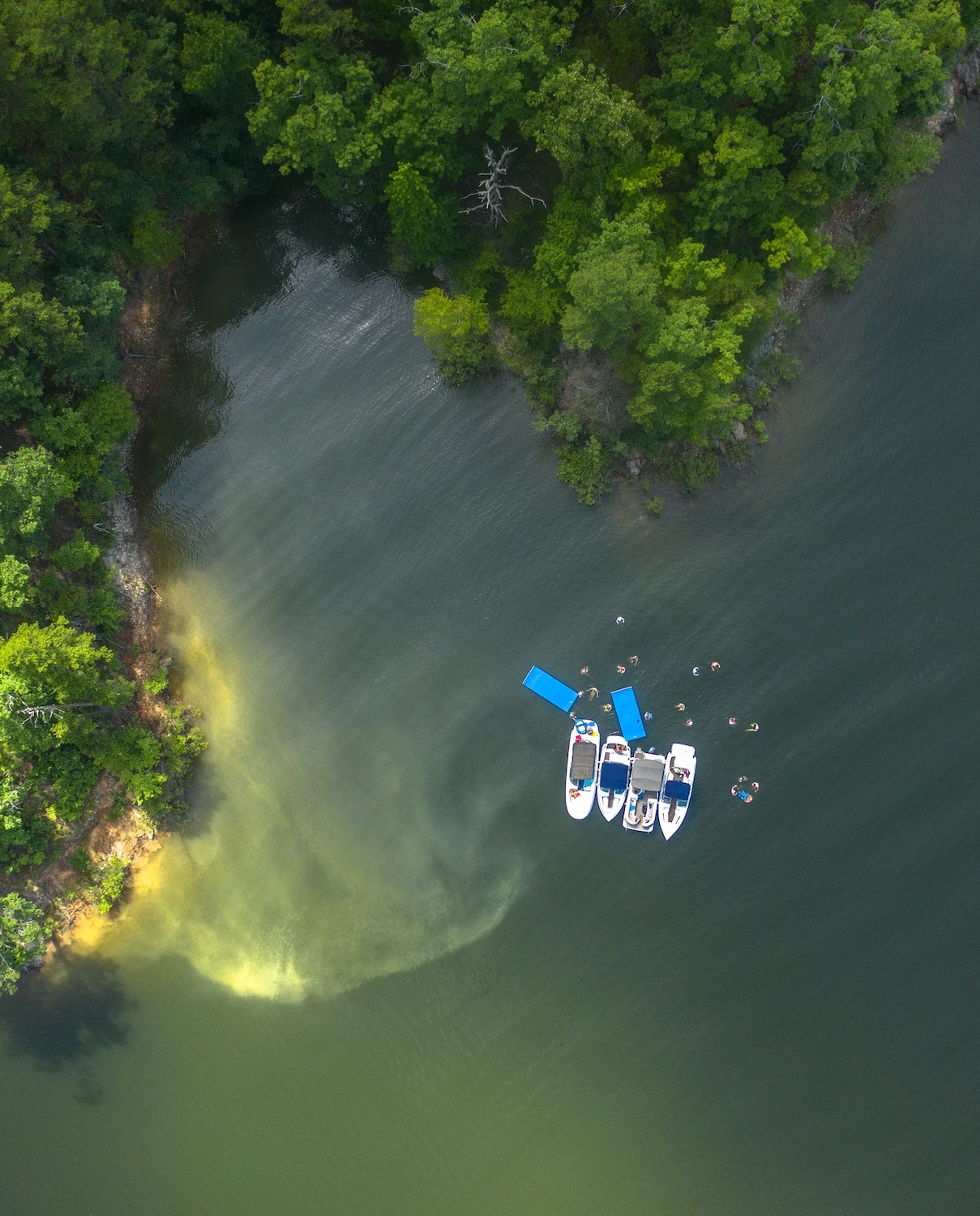 Boats docked at a marina on Lake Ouachita, Arkansas