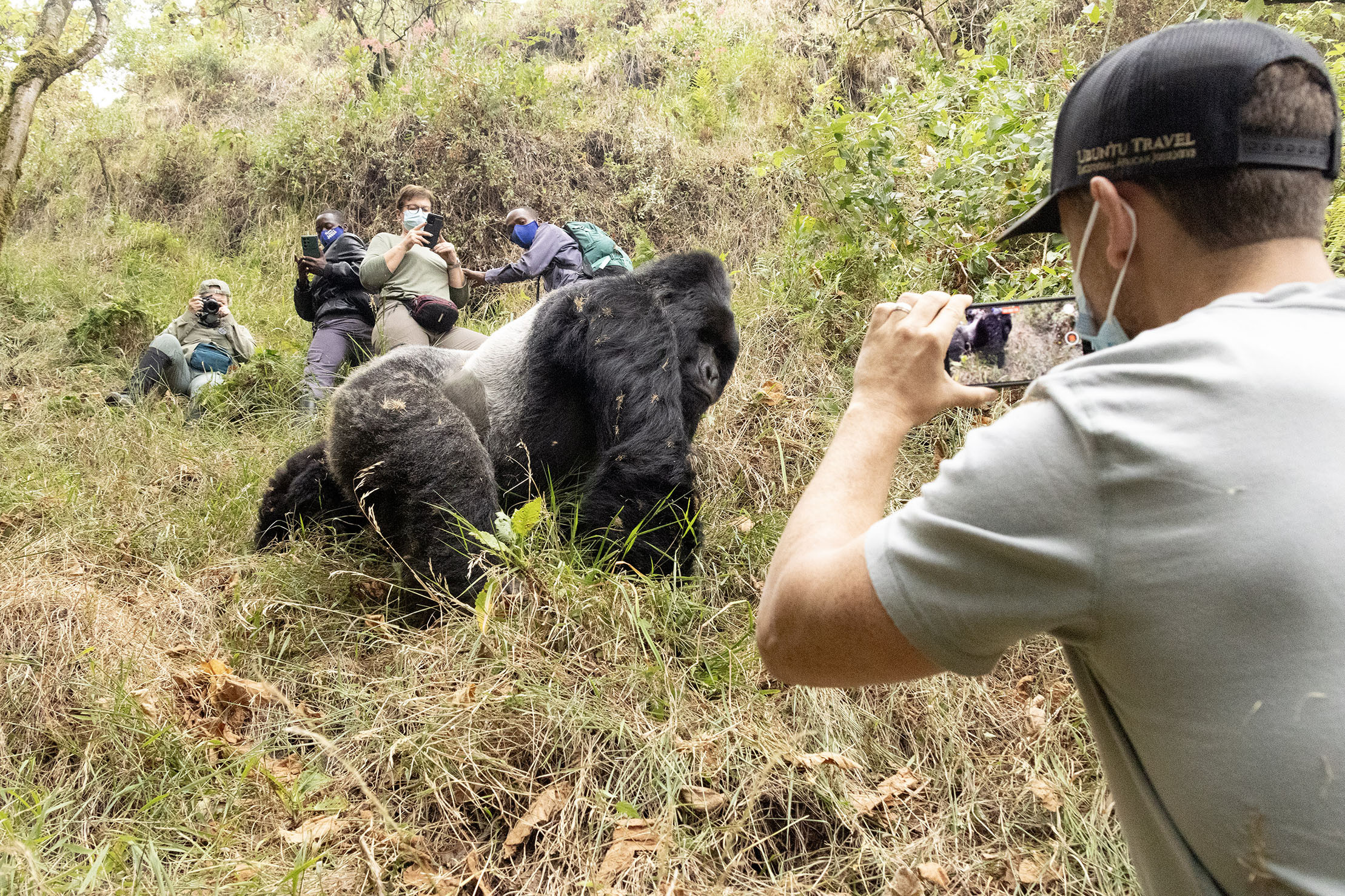 Gorilla trekking in Mgahinga Gorilla National Park, Uganda