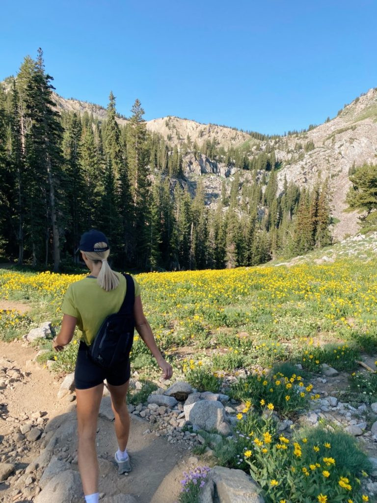 A scenic hiking trail winding through lush greenery and trees, showcasing the natural beauty of Utah's hiking landscapes.