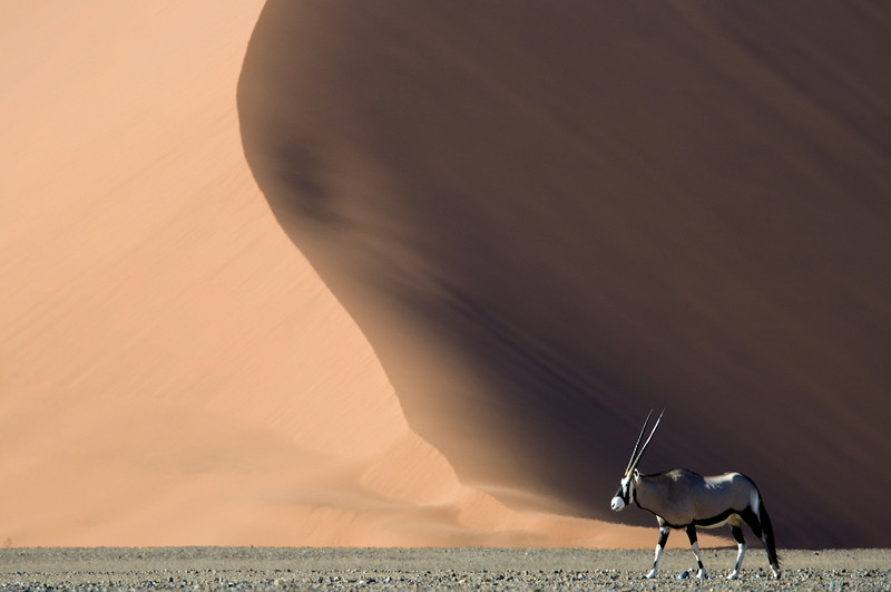 Kulala Desert Lodge, Sossusvlei, Namibia