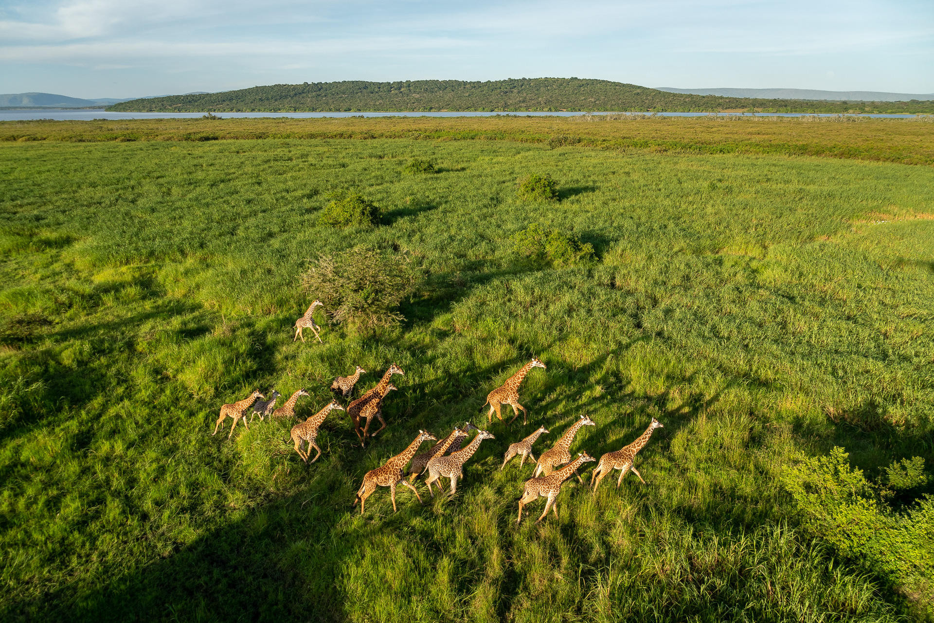 Wilderness Magashi, Akagera National Park, Rwanda