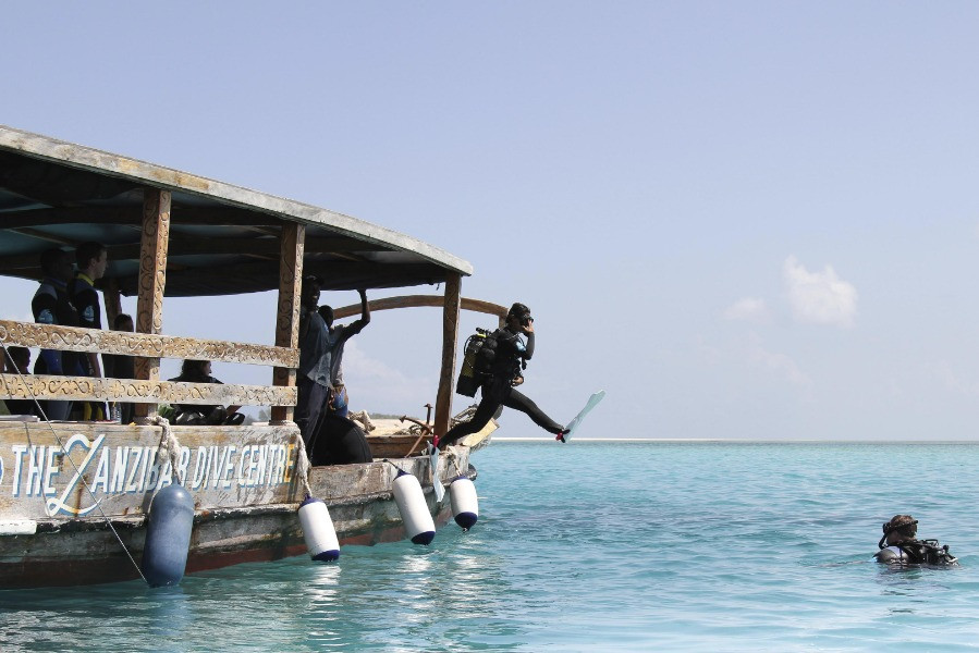 Explore vibrant coral reefs during ideal diving conditions in Zanzibar, particularly from January to March.