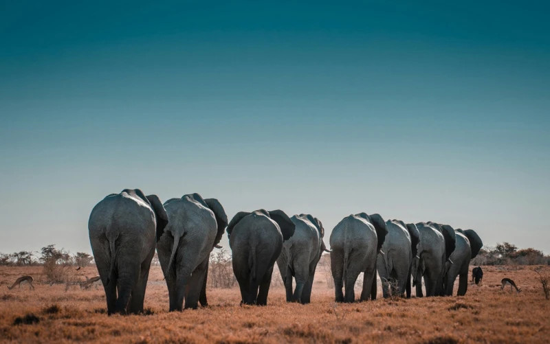 Namibia, Gods Land