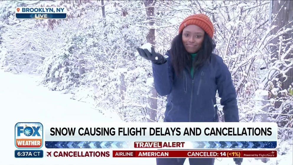A video thumbnail showing Brandy Campbell reporting on the first measurable snowfall in New York City, highlighting the early winter weather impact in the Northeast region.