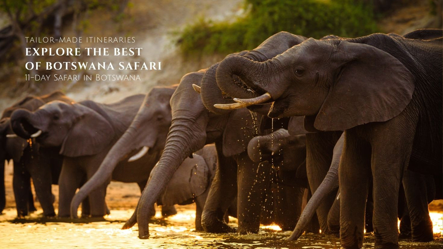 Botswana Safari Itinerary