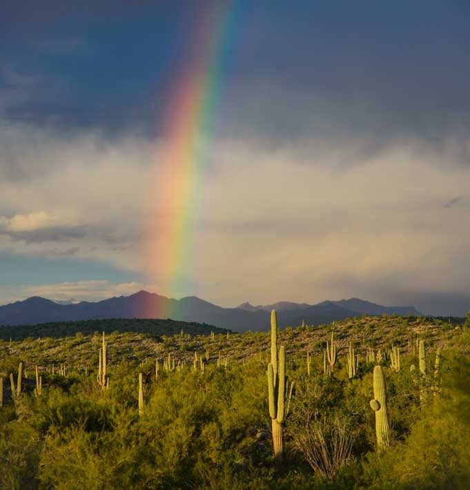 Rainbow over saguaro cactus and RV living travel stories from Arizona-min