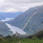 new zealand mountains and rivers