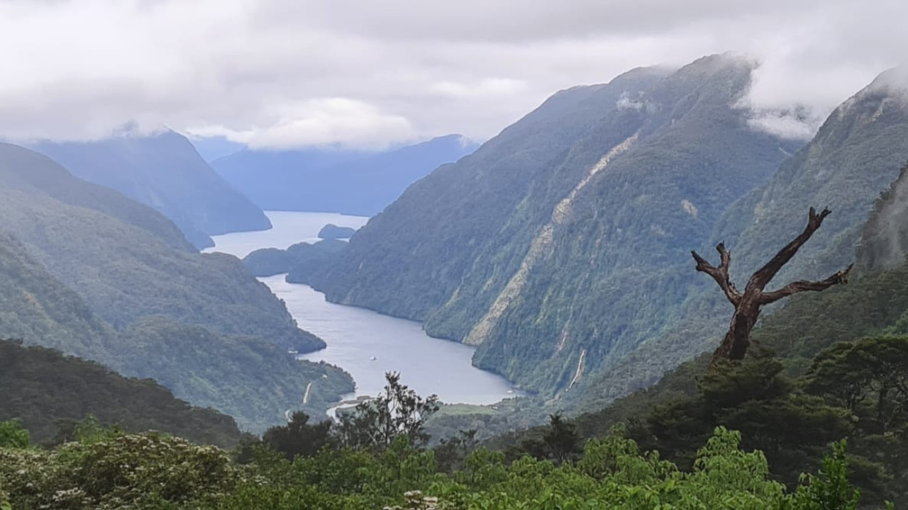 new zealand mountains and rivers