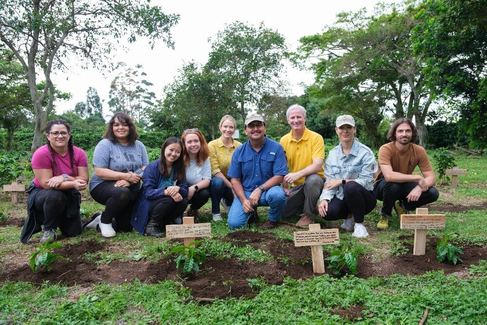 Lush green coffee plantation in Costa Rica, showcasing the global coffee and sustainability program.