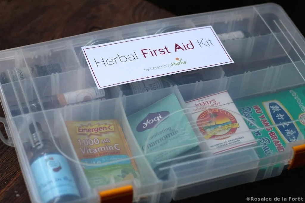 Fishing tackle box used as an herbal first aid kit organizer