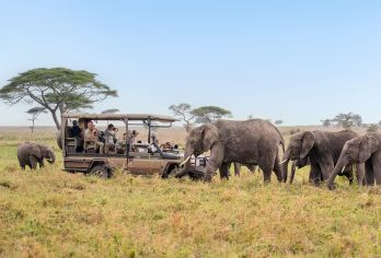 Africa Tanzania Eastern Serengeti