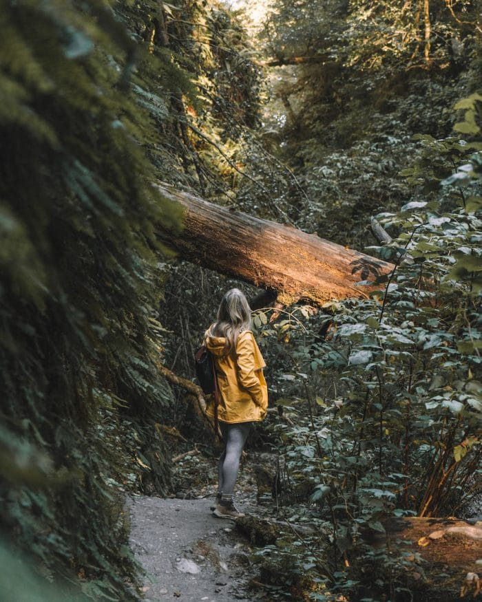 The author, Michelle Halpern, amidst nature in Northern California
