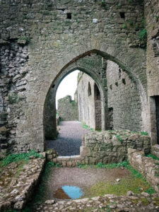 Students at the Rock of Cashel in Ireland, witnessing the beauty of Irish natural landscapes and historical sites