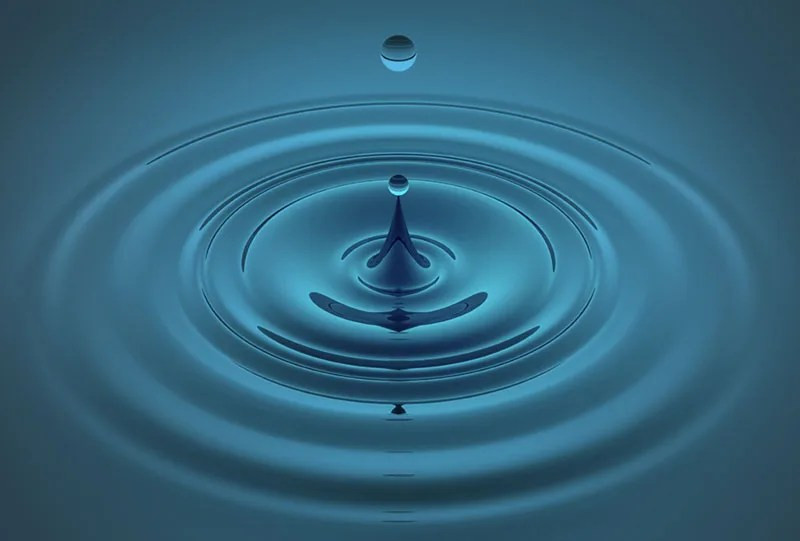 Ripples expanding on the surface of water after a drop creates a disturbance, illustrating wave propagation.