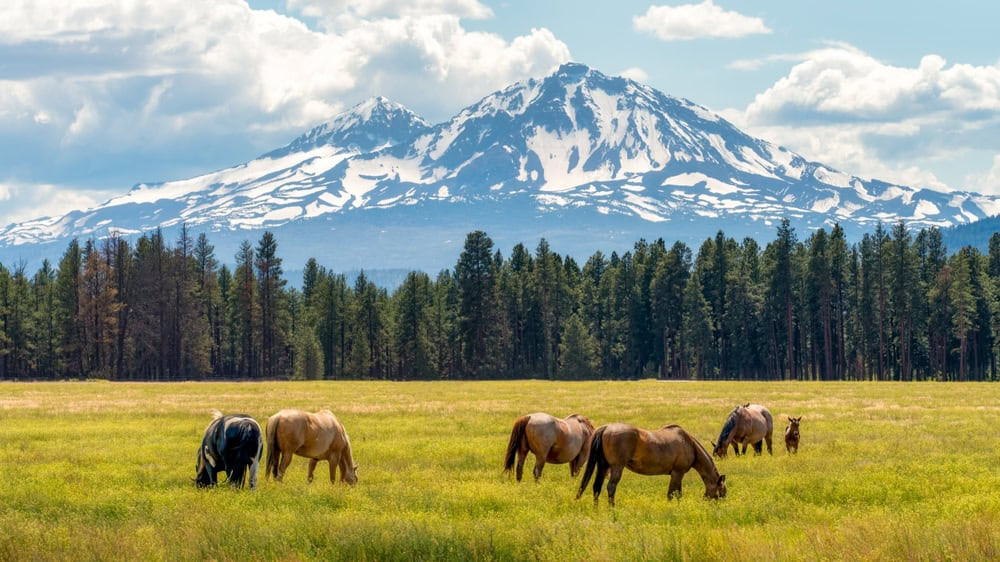 Spring scenery in Bend, Oregon