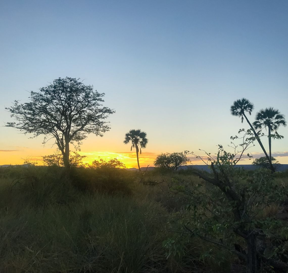 Sunset in Namibia with silhouetted trees, representing memorable travel experiences for children