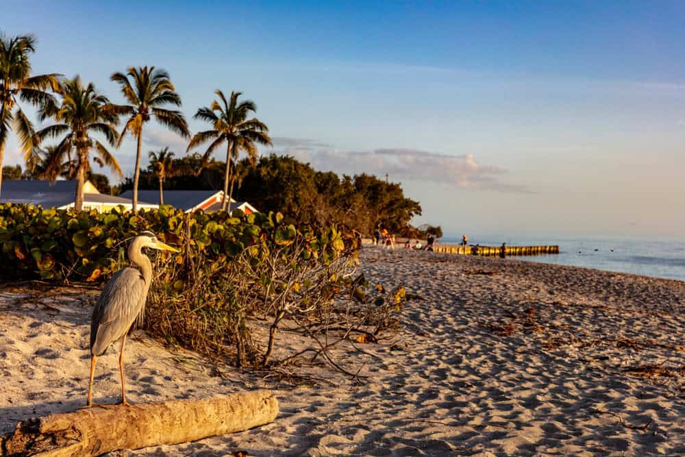 Blind Pass Beach on Sanibel Island, Florida - perfect in May