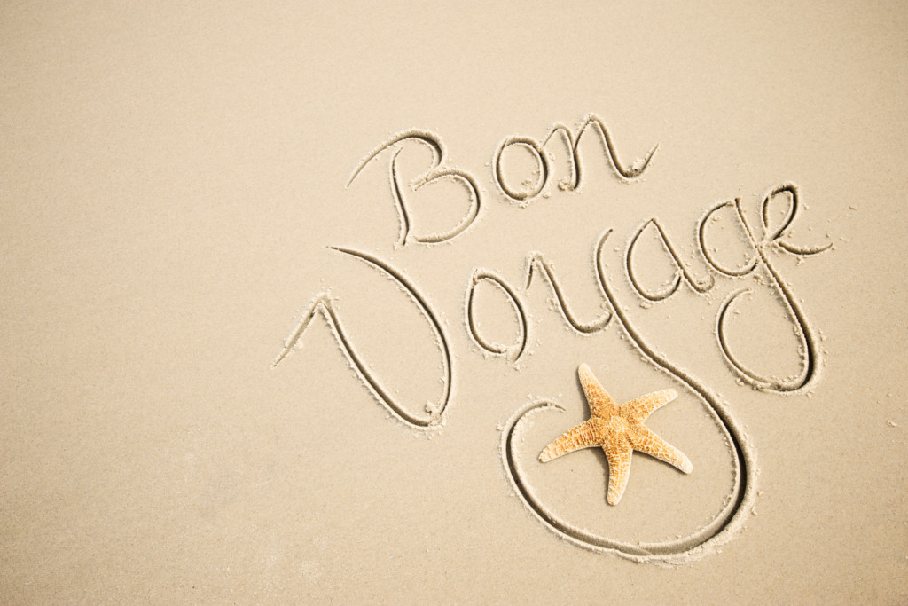 Bon Voyage image