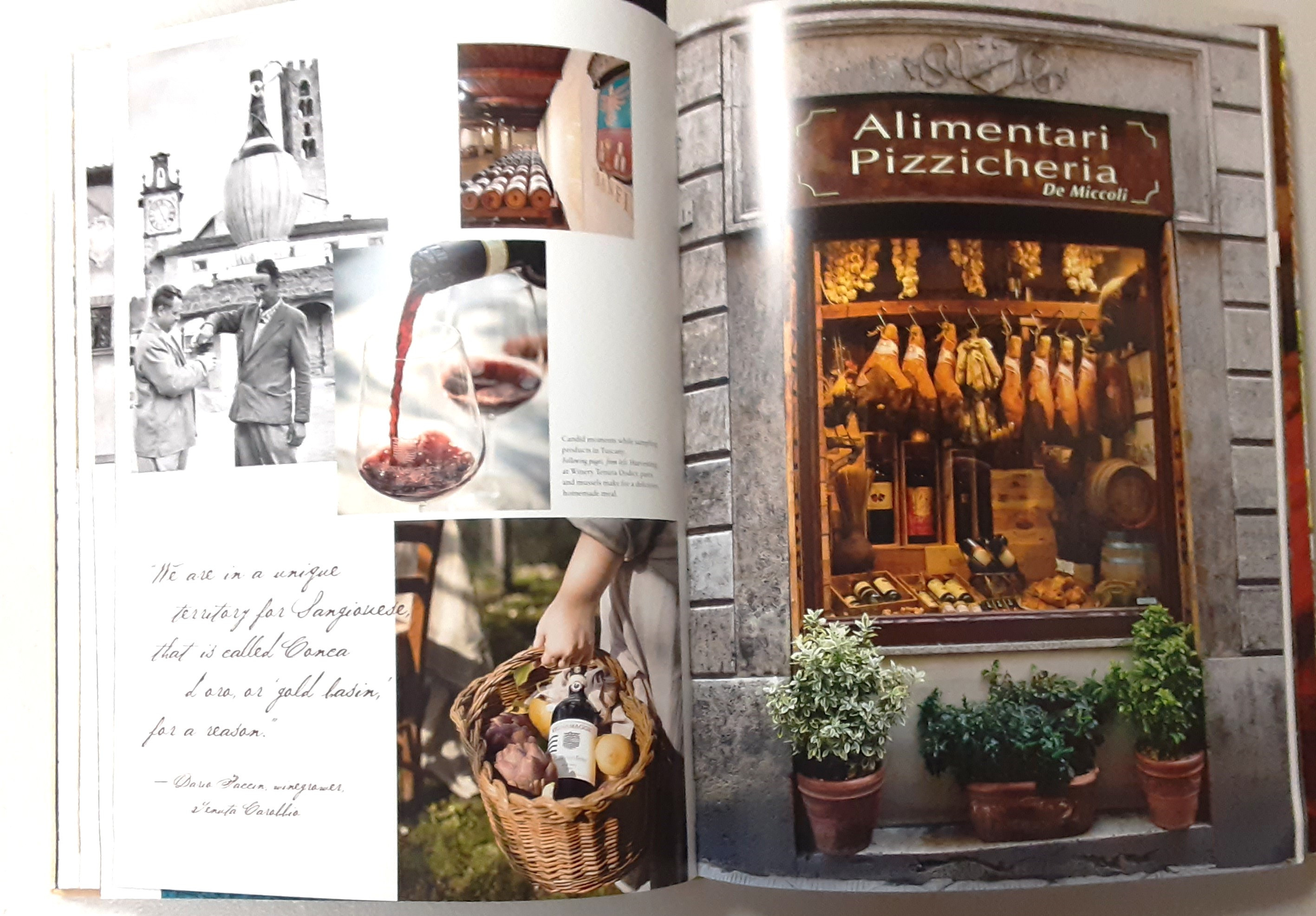Open pages of Assouline's Wine & Travel Italy book showcasing a picturesque vineyard landscape in Italy.