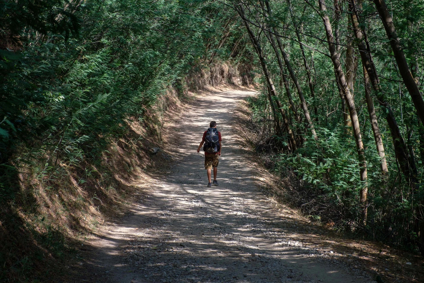 Camino de Santiago, Spain