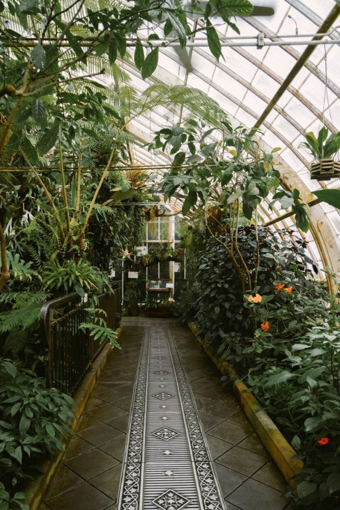 Conservatory of Flowers Interior with Lush Greenery