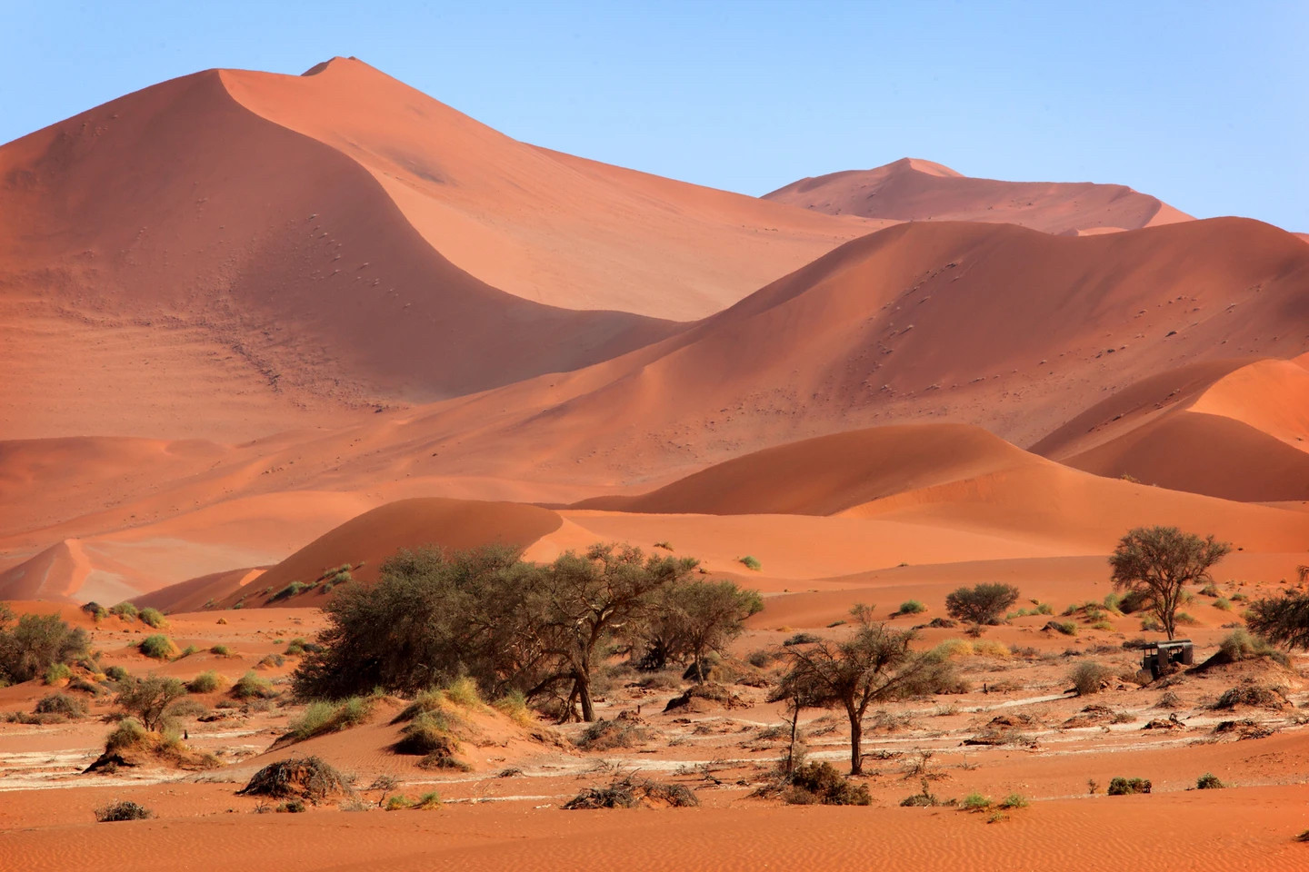 Namib Desert, Namibia