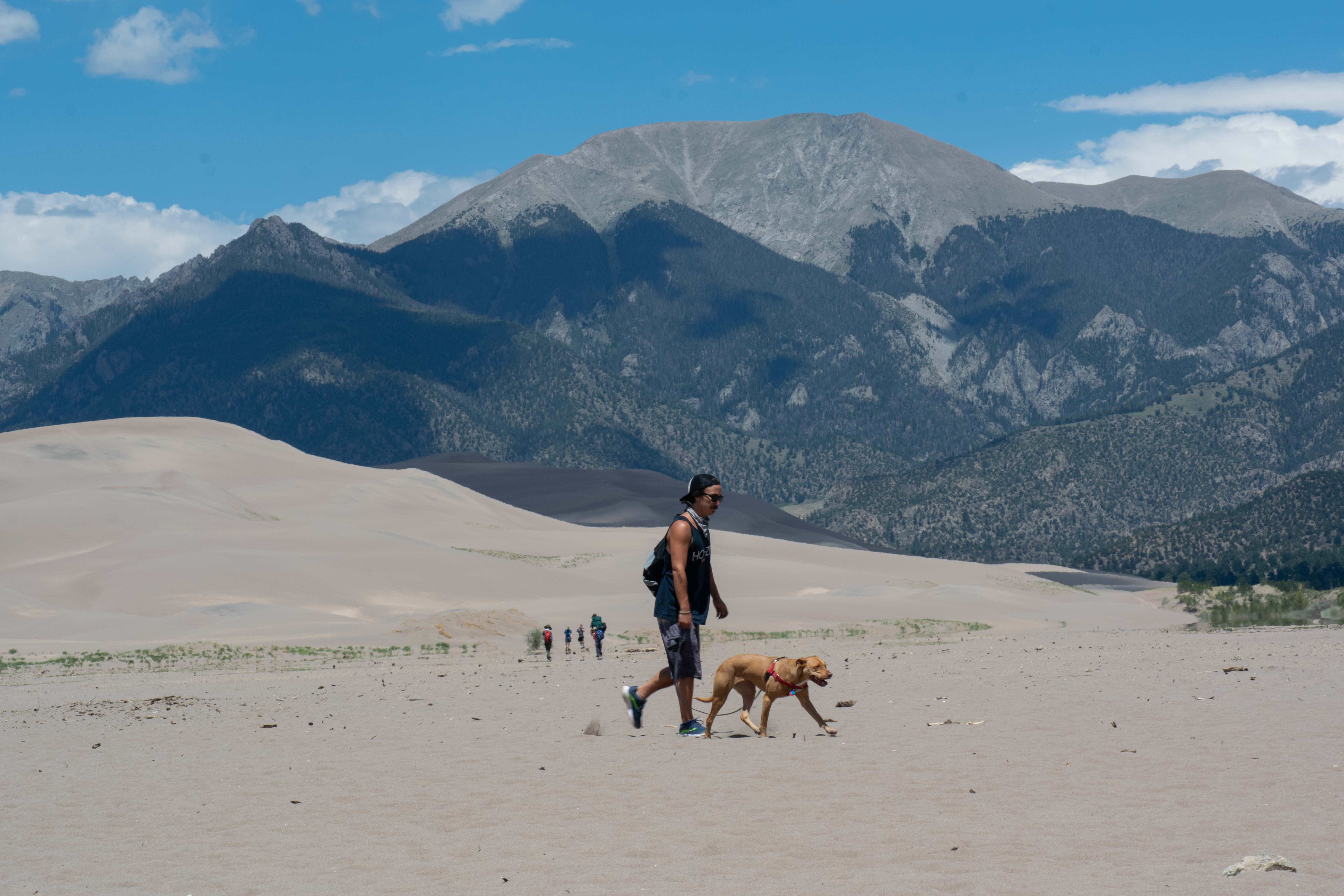 Man and dog at Great Sand Dunes National Park