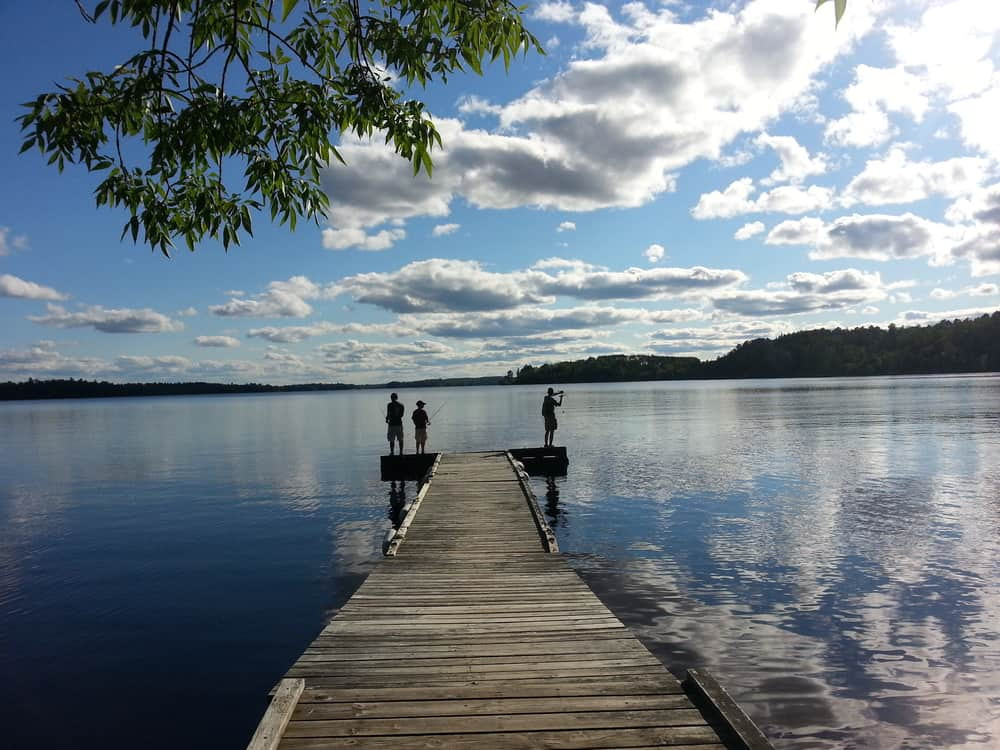 Picturesque Ely, Minnesota, surrounded by stunning summer landscapes