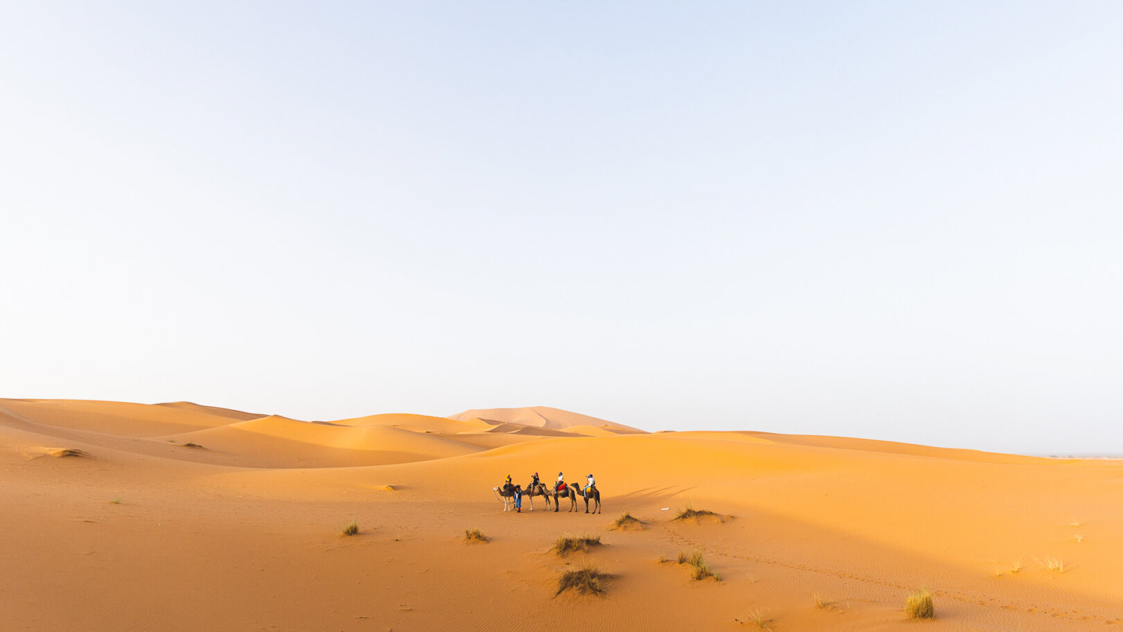 Exploring Moroccan Culture on Camelback