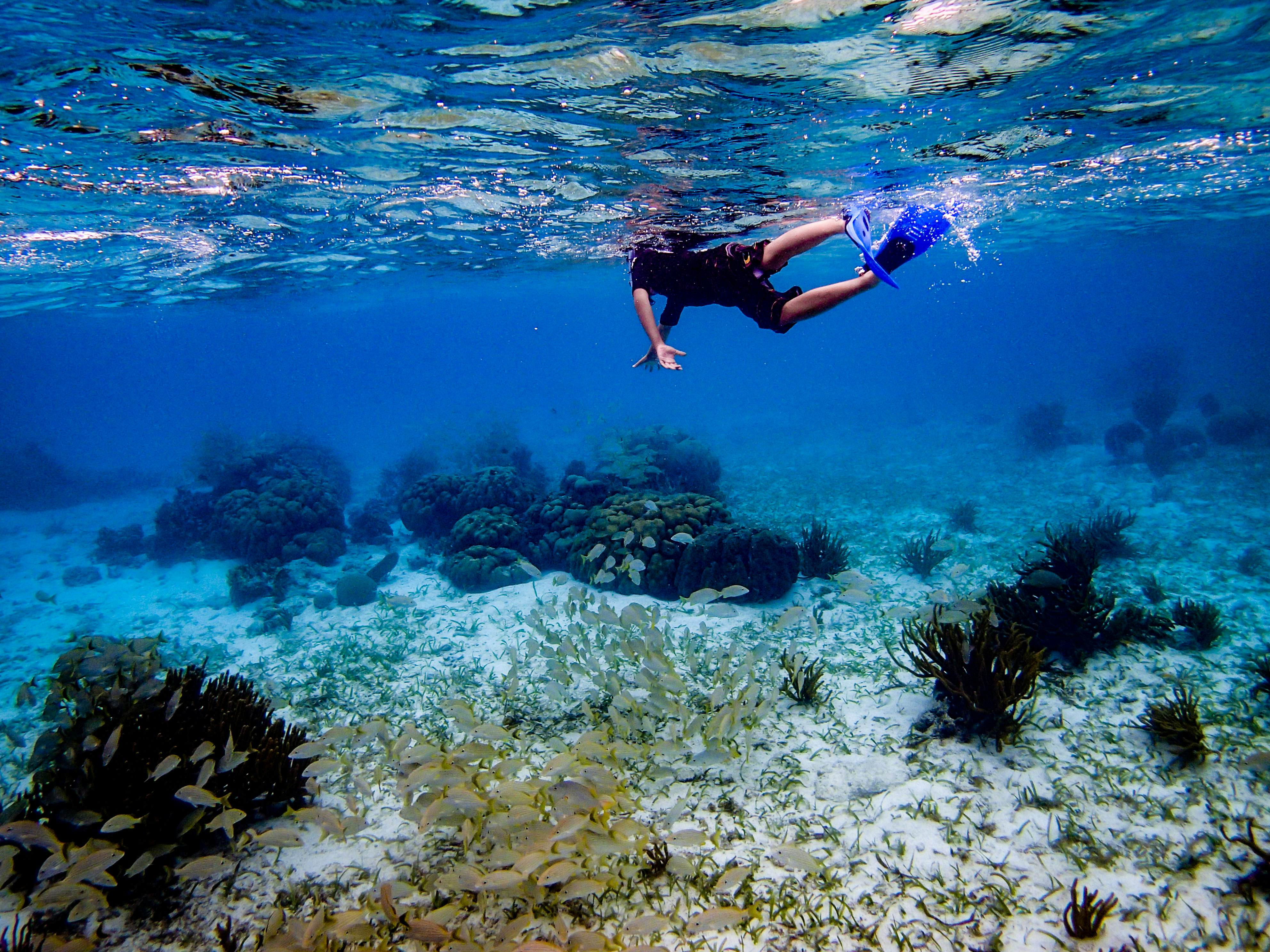 A boy swims in the crystal clear waters of San Pedro, Belize