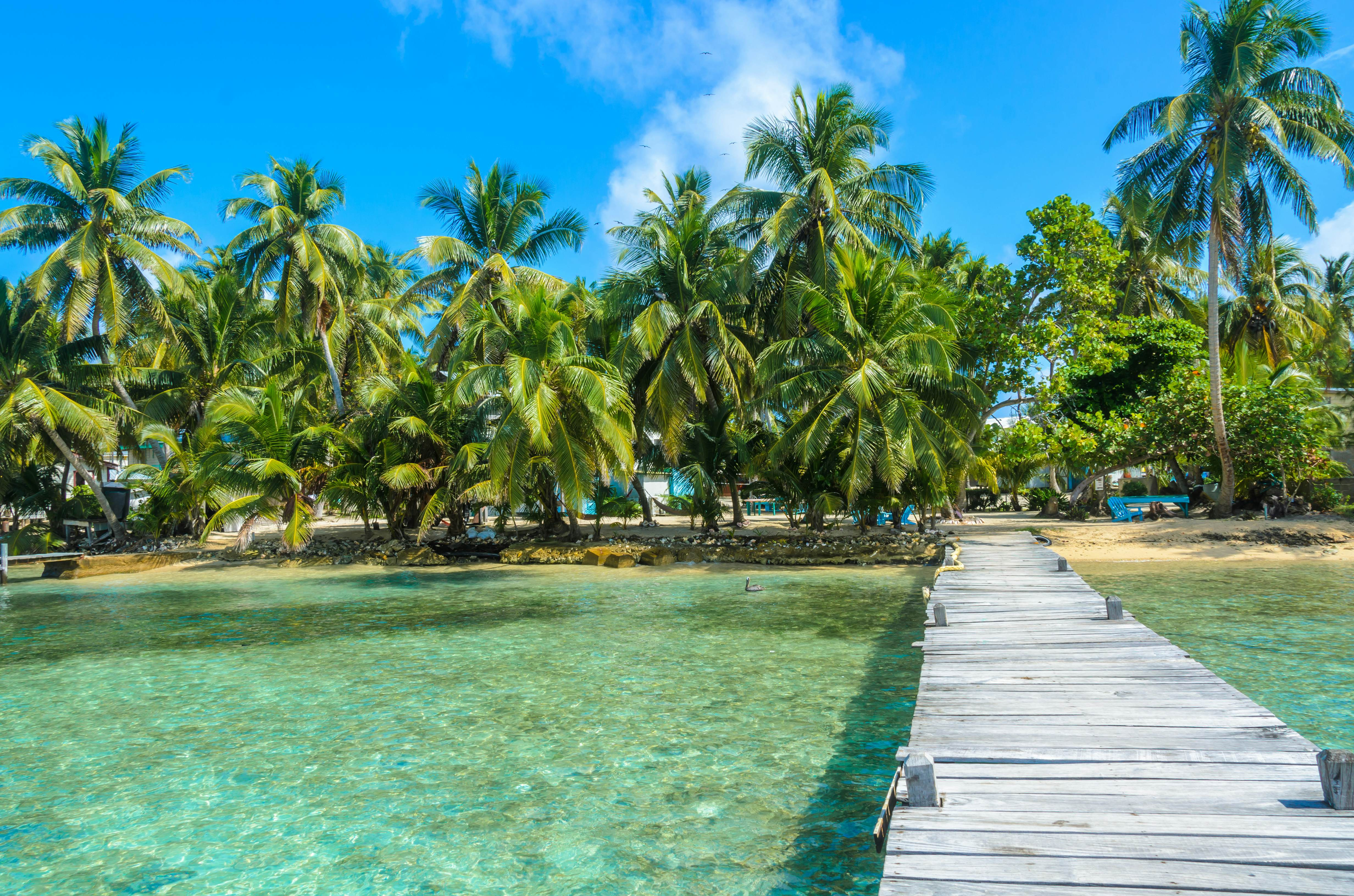 A wooden boardwalk across shallow blue-green water leading towards a palm-fringed beach at Tobacco Caye, Belize