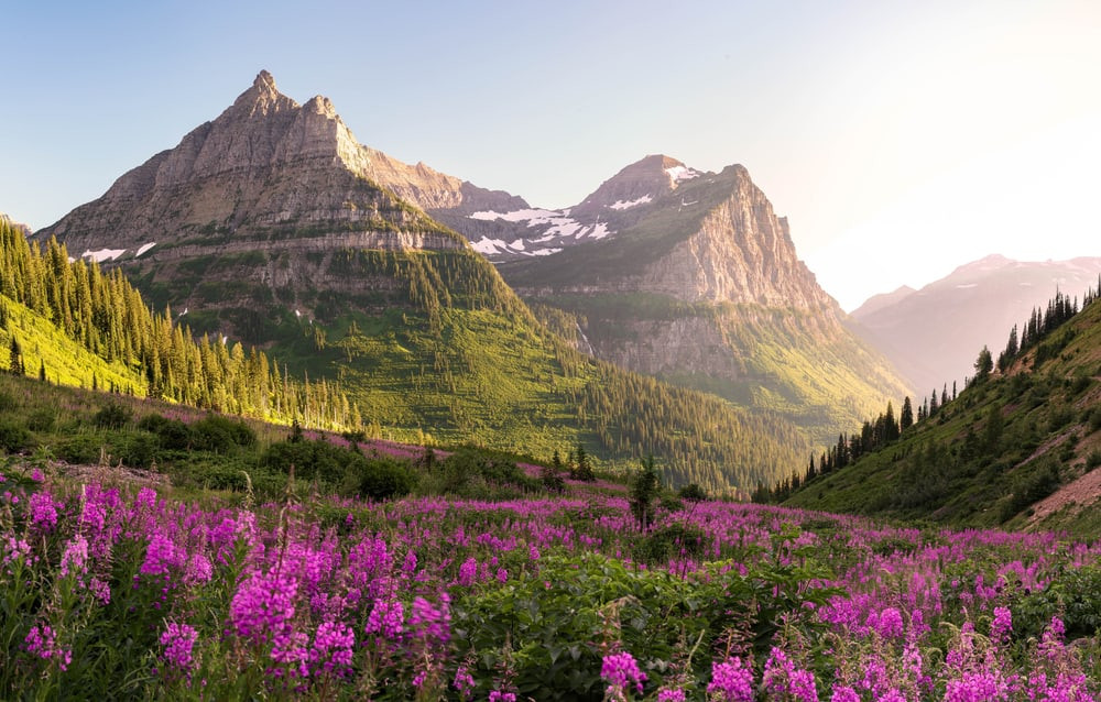 Stunning Glacier National Park in Summer, a must-visit in July in the USA