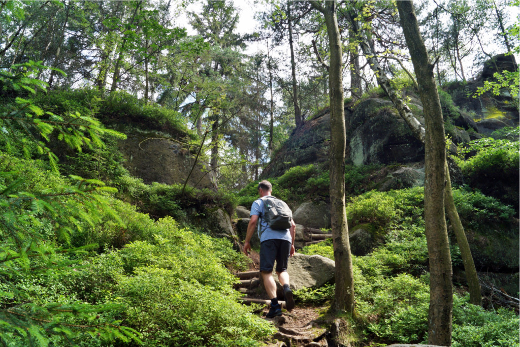 Man hiking on a forest path