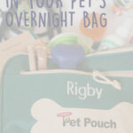 Dog Travel Bag Essentials Checklist for Responsible Pet Owners