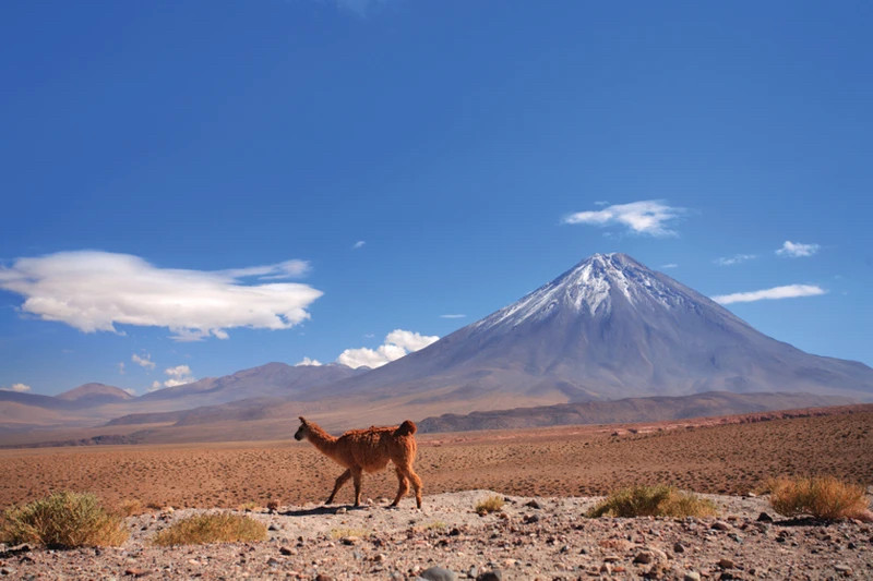 Atacama Desert, Chile