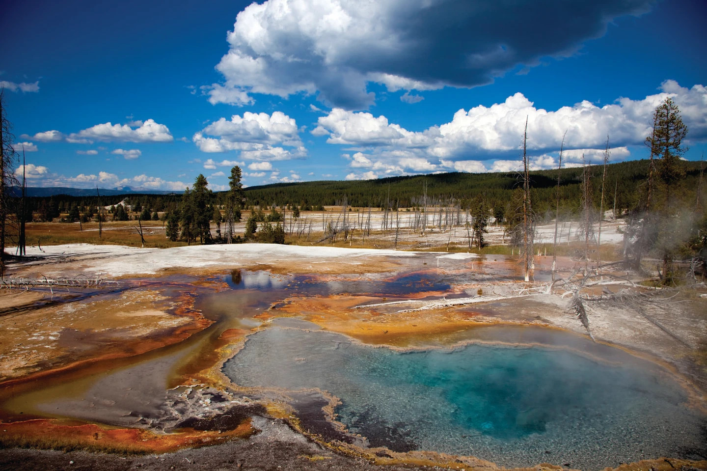 Yellowstone National Park, USA