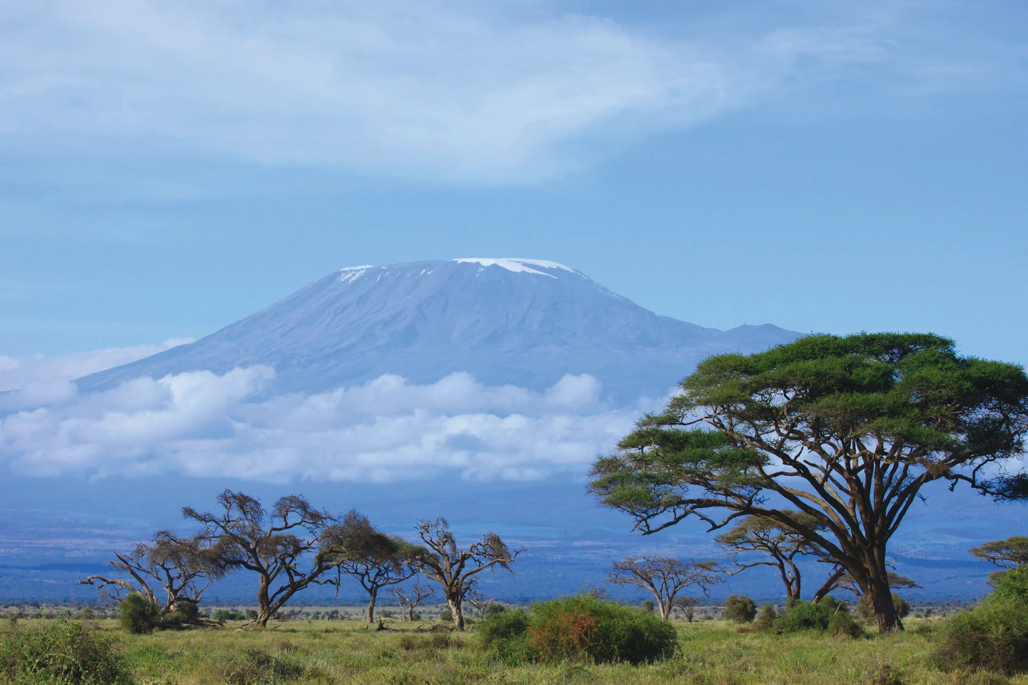 Kilimanjaro, Tanzania