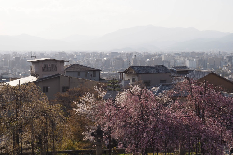 Kiyomizu-dera Temple in Kyoto, perched on a hillside with wooden stage.