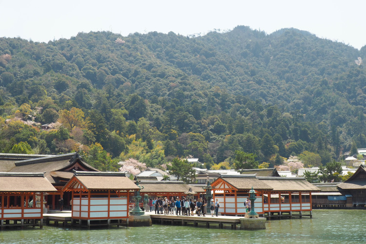 Close-up of the torii gate of Itsukushima Shrine at high tide, Miyajima Island.