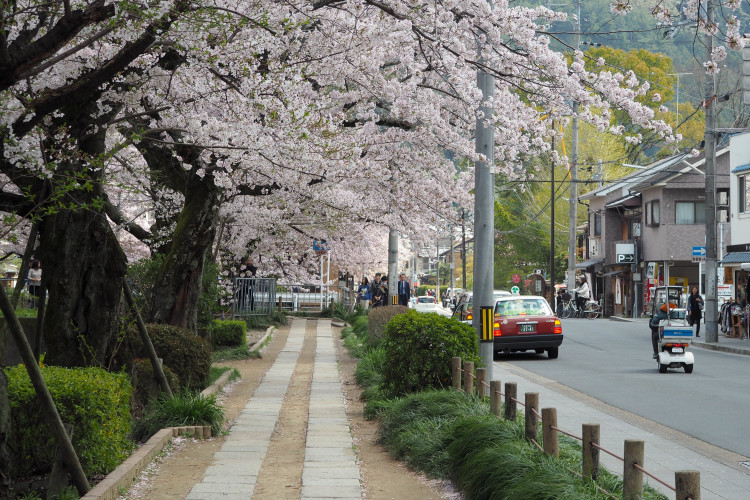 A picturesque temple in Kyoto, surrounded by lush trees and traditional Japanese architecture.