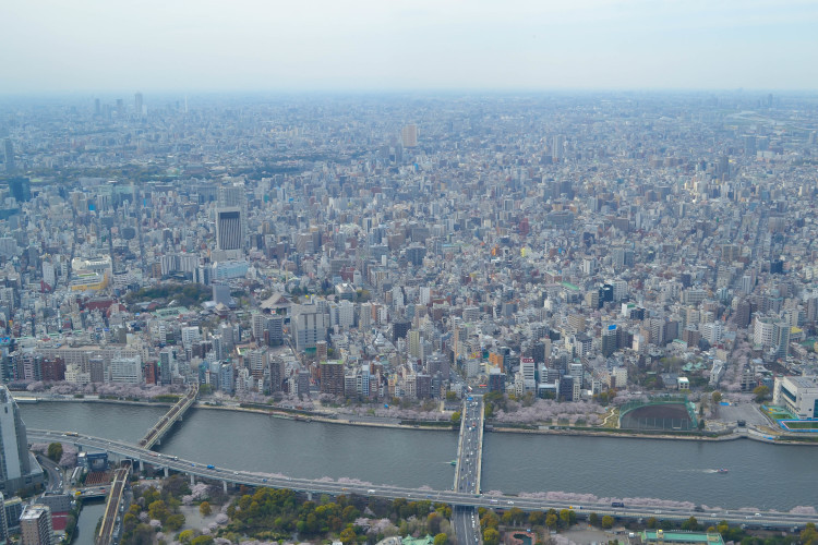Panoramic view of Tokyo from Tokyo Skytree, showcasing the vast cityscape.