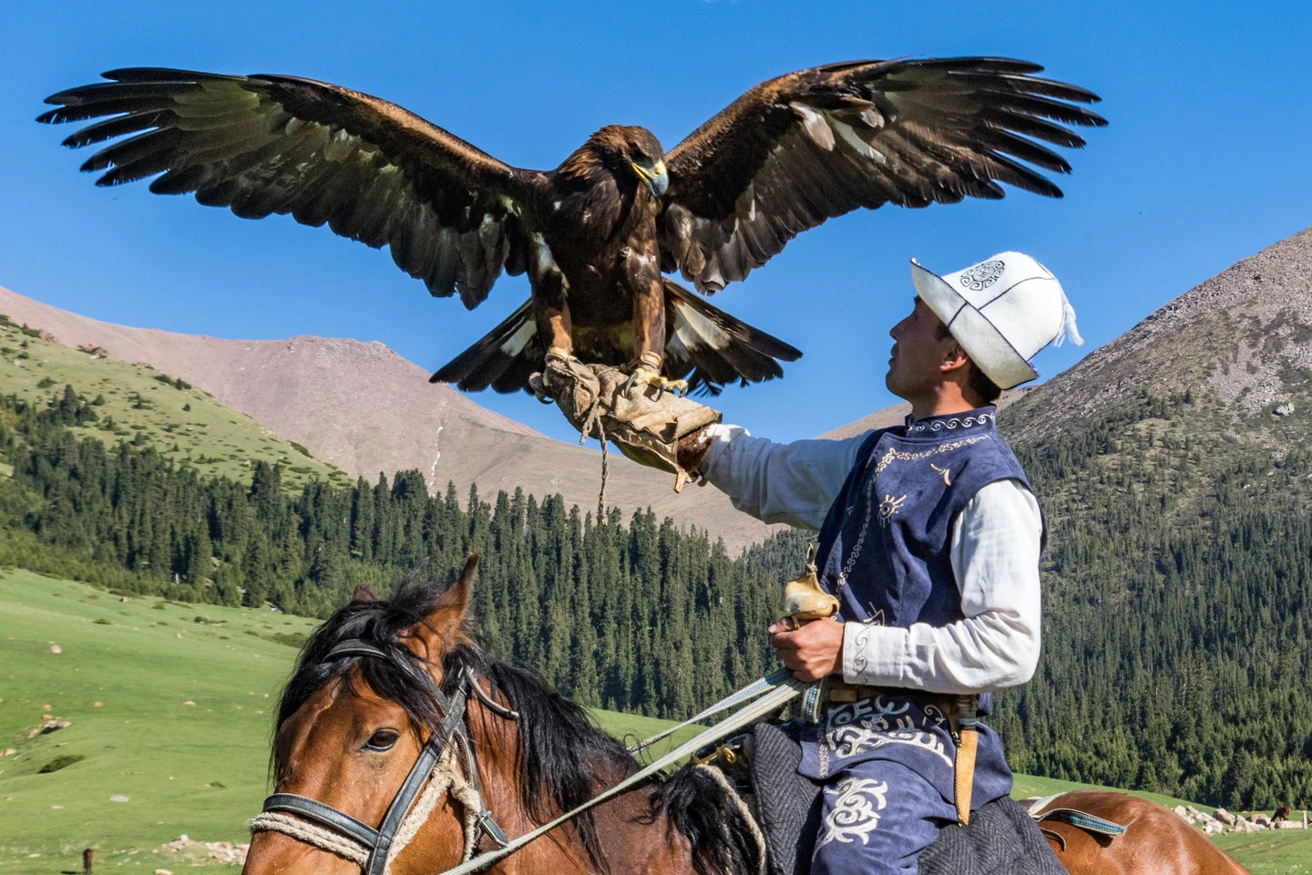 Birds of prey on Kyrgyzstan’s steppe