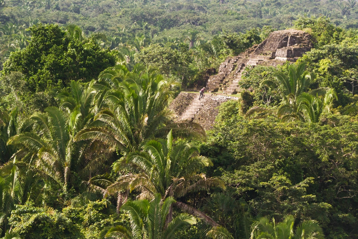 Lamanai in Belize