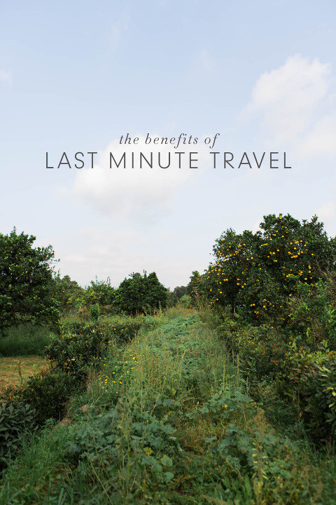 Embrace the spontaneity of last minute travel deals and discover breathtaking landscapes.