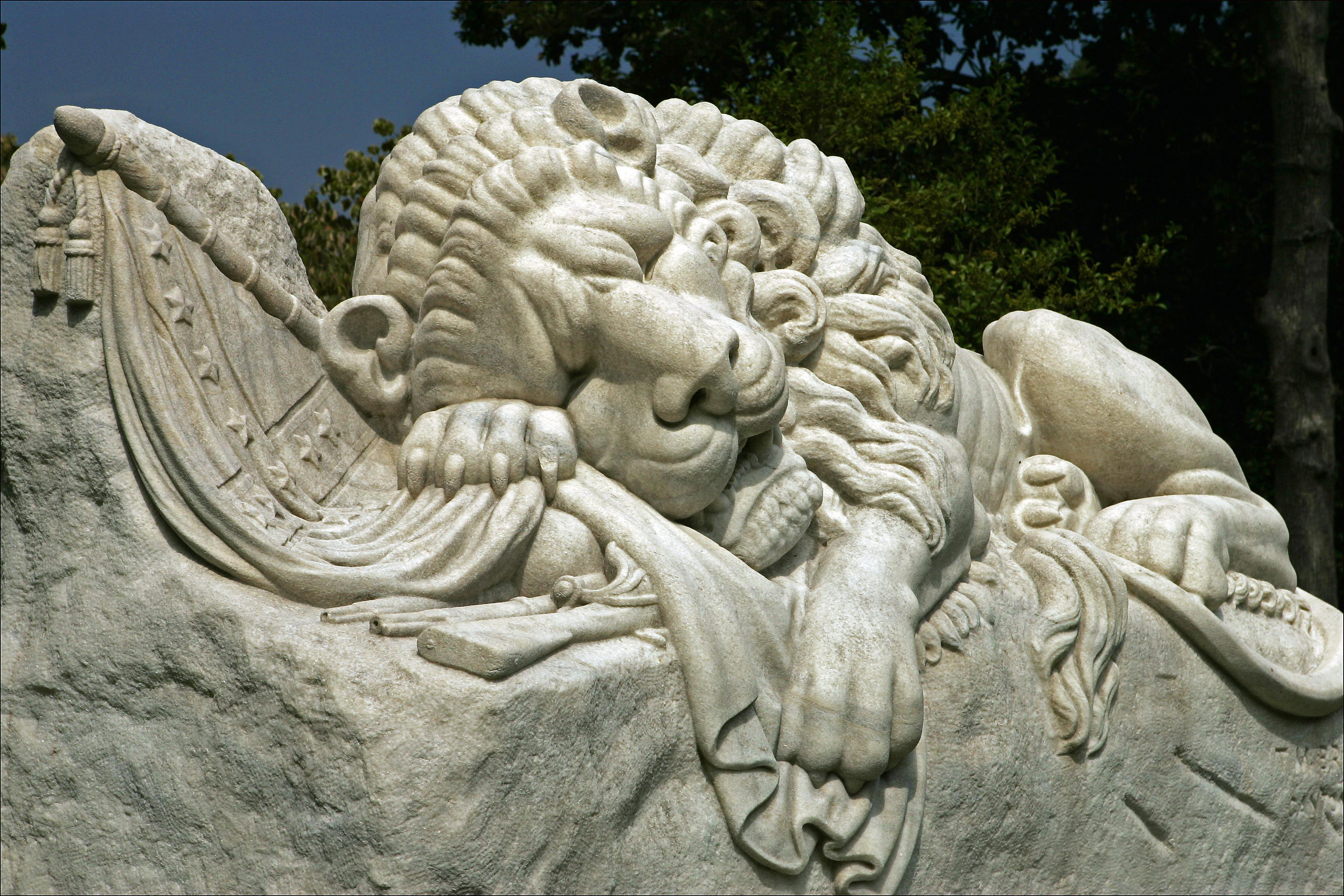 lion_G9B8092 page 6