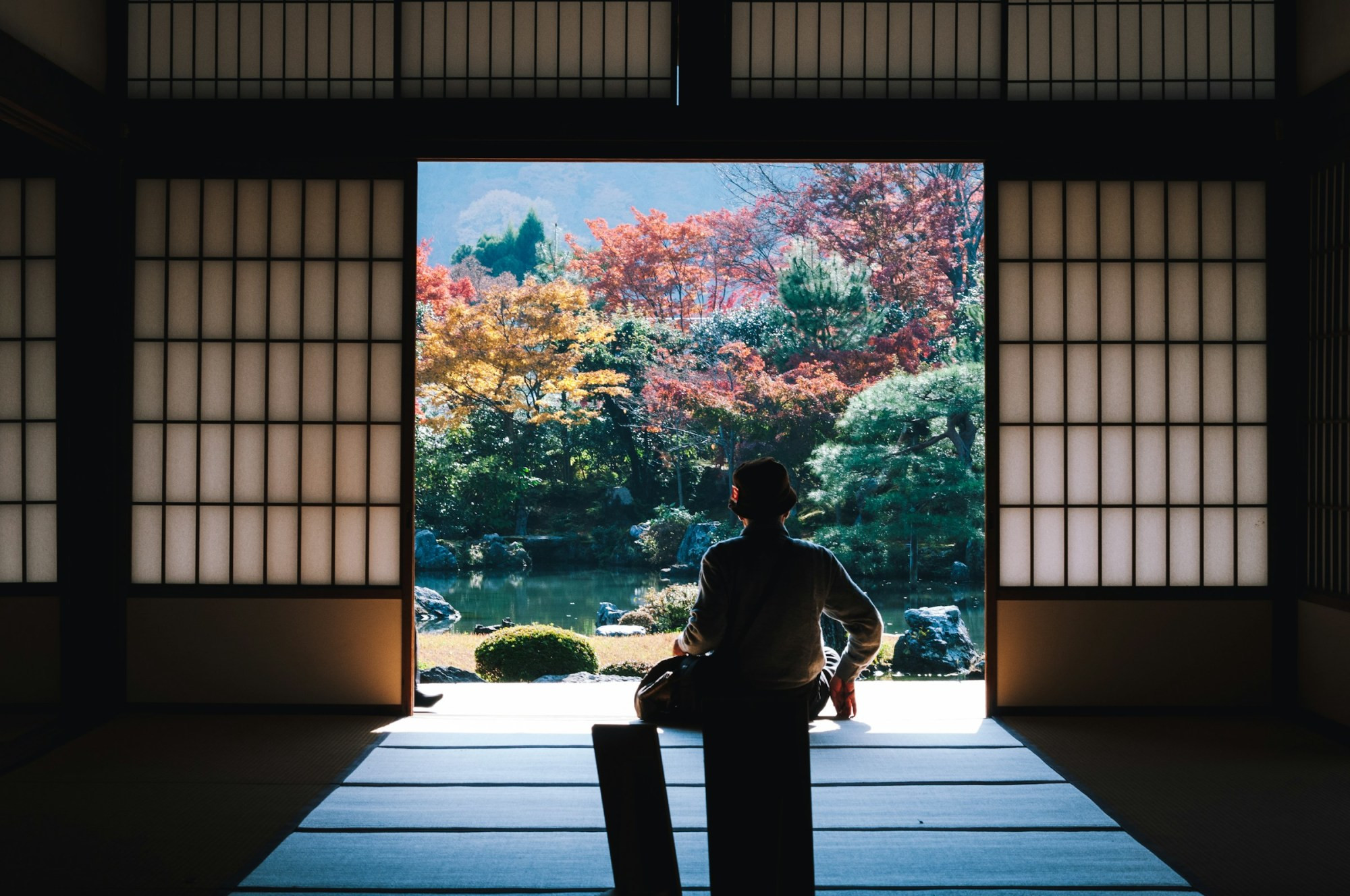 Back view of man sitting on chair looking at sea