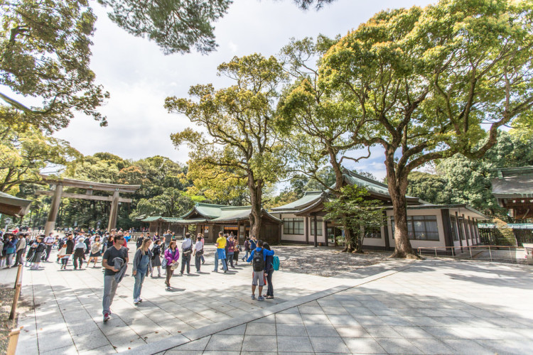 The serene Meiji Shrine in Harajuku, Tokyo, surrounded by trees and traditional architecture.