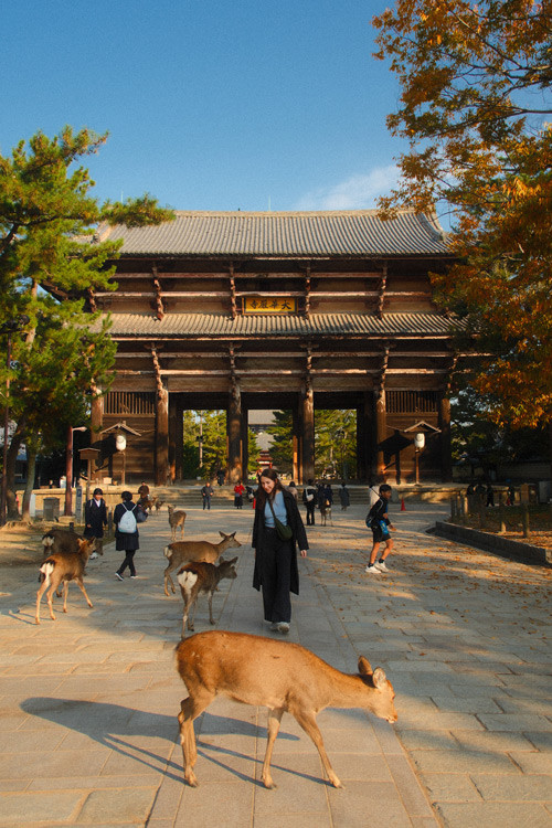 Nandaimon gate nara